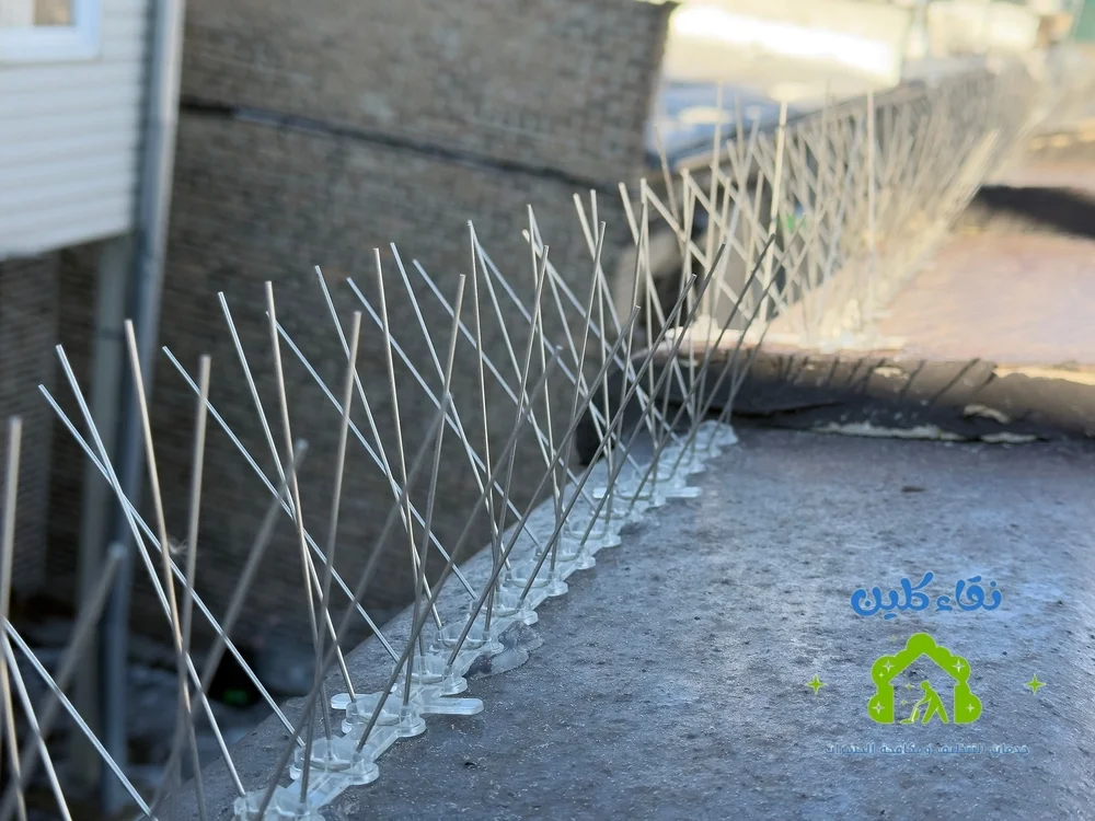 شركة تركيب طارد حمام في الفجيرة