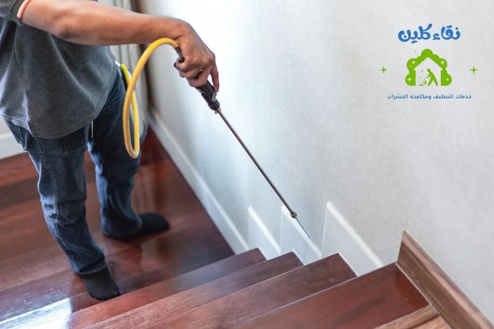 شركة مكافحة حشرات في خورفكان