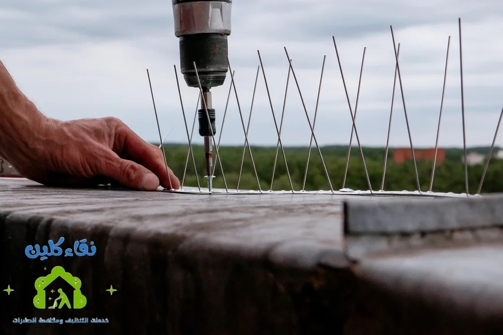 شركة تركيب طارد حمام في الفجيرة