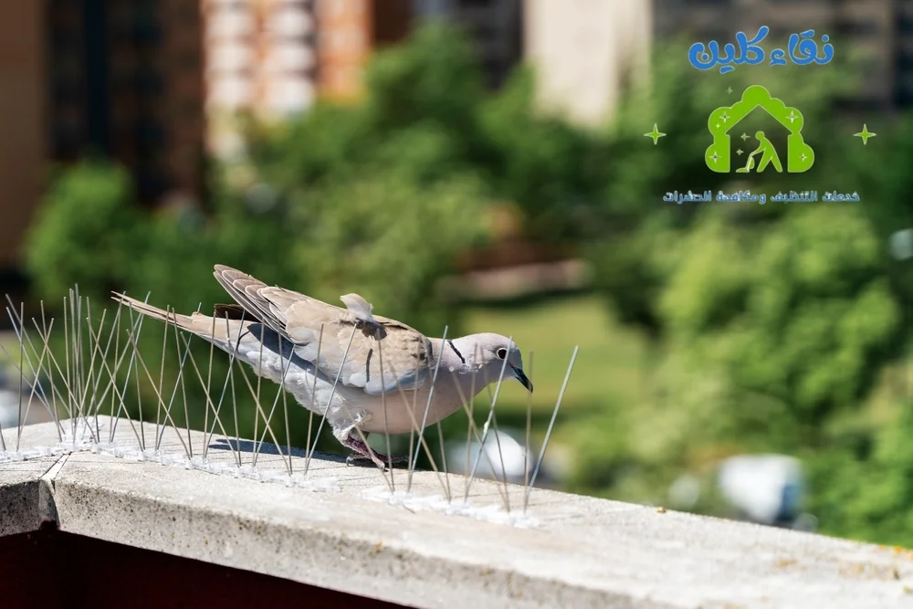 شركة تركيب طارد حمام في أبو ظبي