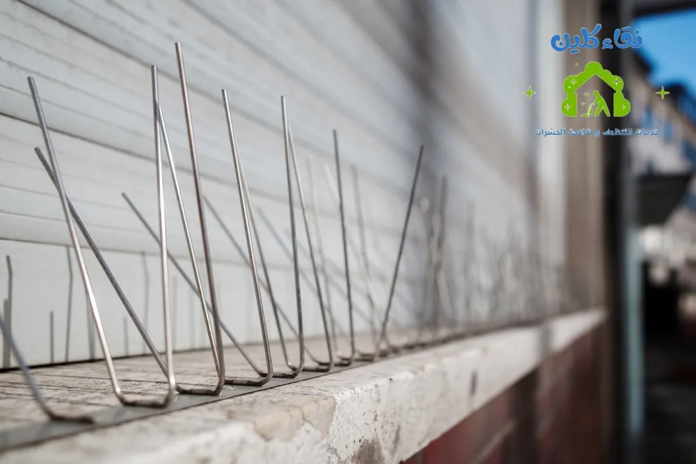 شركة تركيب طارد حمام في رأس الخيمة