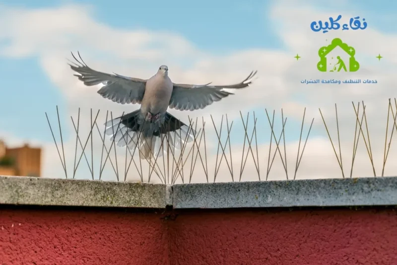 شركة تركيب طارد حمام في عجمان - خبره 10 سنوات