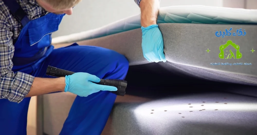 شركة مكافحة حشرات في حتا