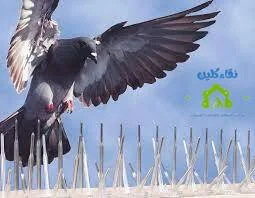 شركة تركيب طارد حمام في دبي