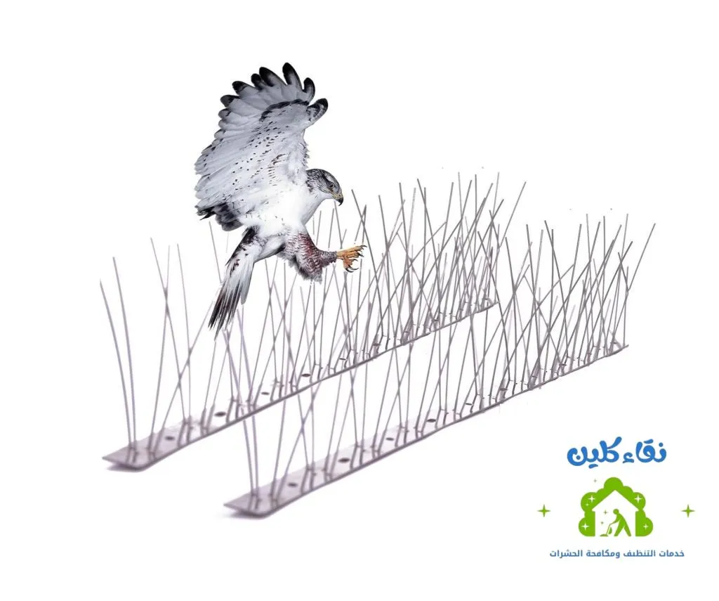 شركة تركيب طارد حمام في دبي