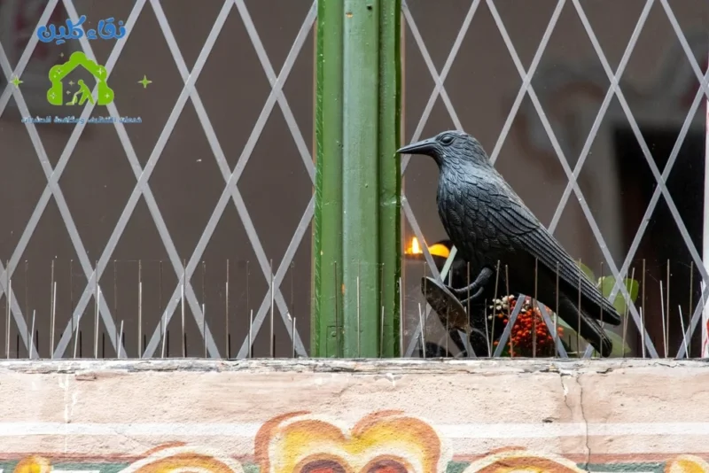 شركة تركيب طارد حمام في مصفوت - خبرة 10 سنوات