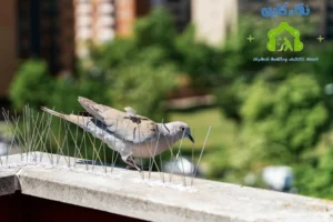 شركة تركيب طارد حمام في خورفكان - مكافحة الحمام بالاشواك
