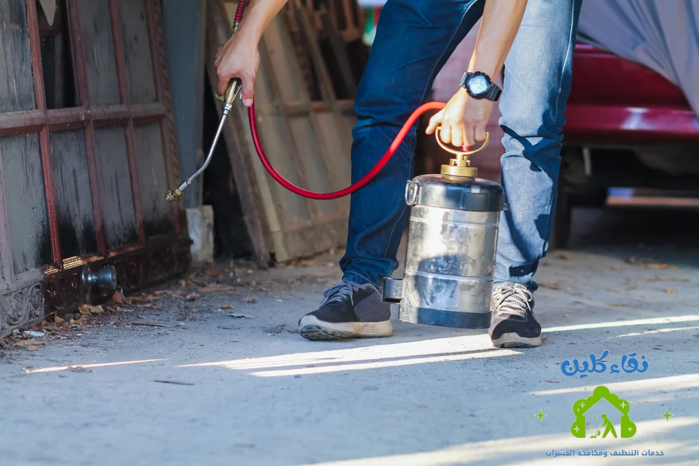 شركة مكافحة الحشرات