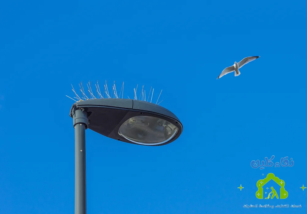 شركة تركيب طارد حمام في مصفوت