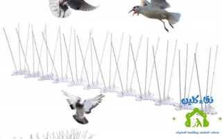 شركة تركيب طارد حمام في خورفكان